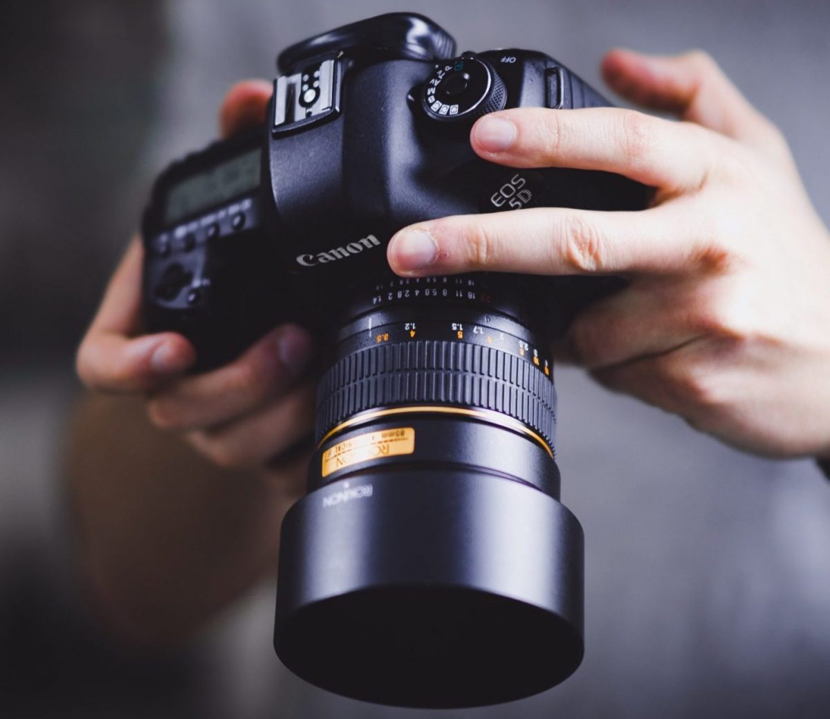william-bayreuther-hfk6xOjQlFk-unsplash william-bayreuther-hfk6xOjQlFk-unsplash